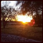 Wasn't looking for a photo opportunity on the ride until the sun caught my eye through the trees. #inspiration #intrainingmode #EmpowermentRide #100Pedals #cycling ##sunrise #healthandwellness